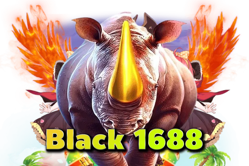 Black-1688